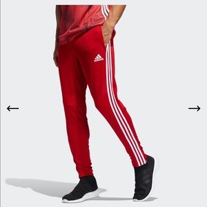 Adidas Tiro 19 Training Pants